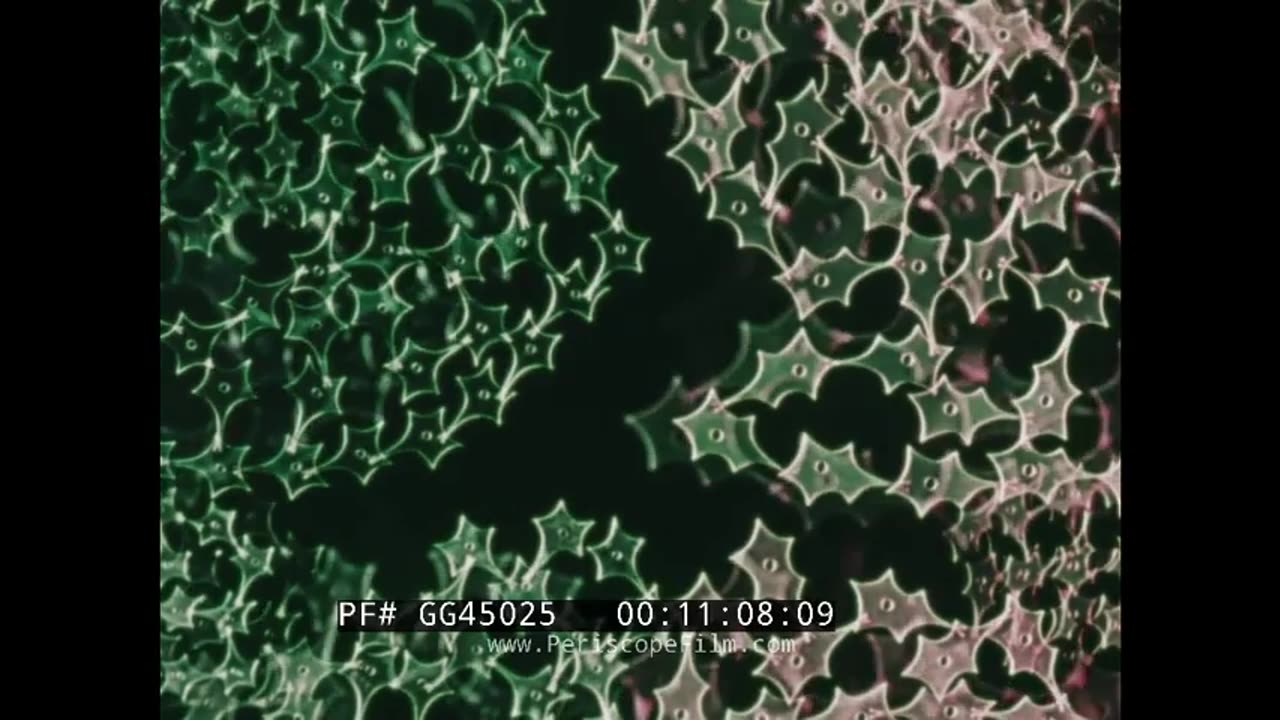 This is Cybernetics | 1970s Interface Between Man, Computers & Artificial Intelligence