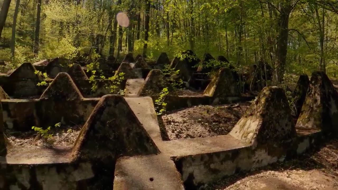 Dragons Teeth World War Two