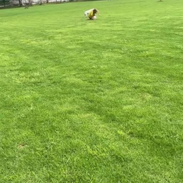 A MUST WATCH THIS VIDEO