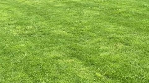 A MUST WATCH THIS VIDEO