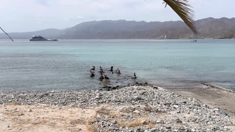 Is Artificial General Intelligence (AGI) a Fraud?