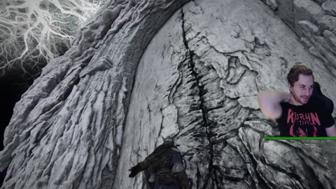 CO-OP IS FINALLY GOOD (Nightreign)
