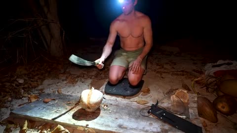 5 Days Solo Island Survival No Food, Water, or Shelter_part2