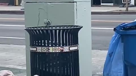 If Black lives truly matter, why are so many left to suffer and die on California’s streets