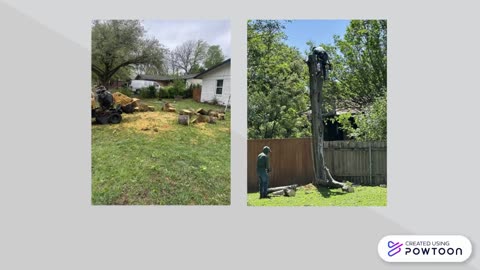 cedar rock tree service