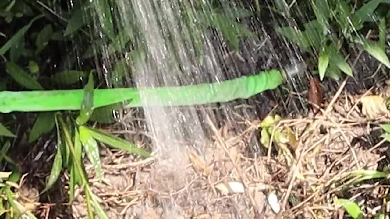 🚰 Check your outdoor hoses and spigots!