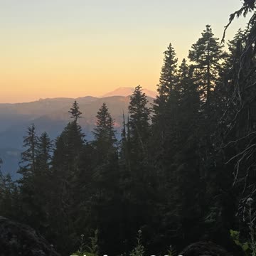 Bigfoot 200 2025 race update!