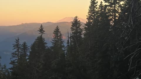 Bigfoot 200 2025 race update!