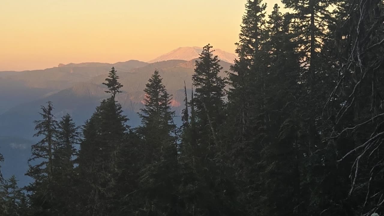 Bigfoot 200 2025 race update!