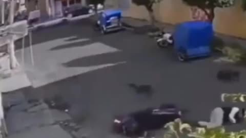 🏃🐶 Run for Your Life! | FunFM