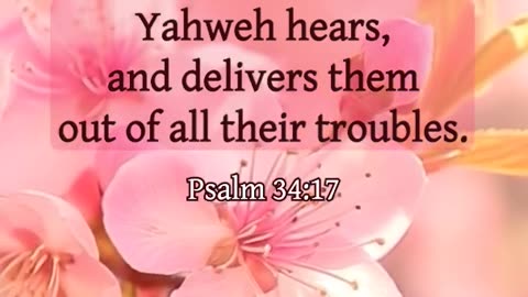 When Nobody Notices, God Does #ChristianComfort #PeaceOfGod #Scripture