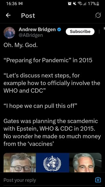Bill Gates Epstien Pandemic Connection
