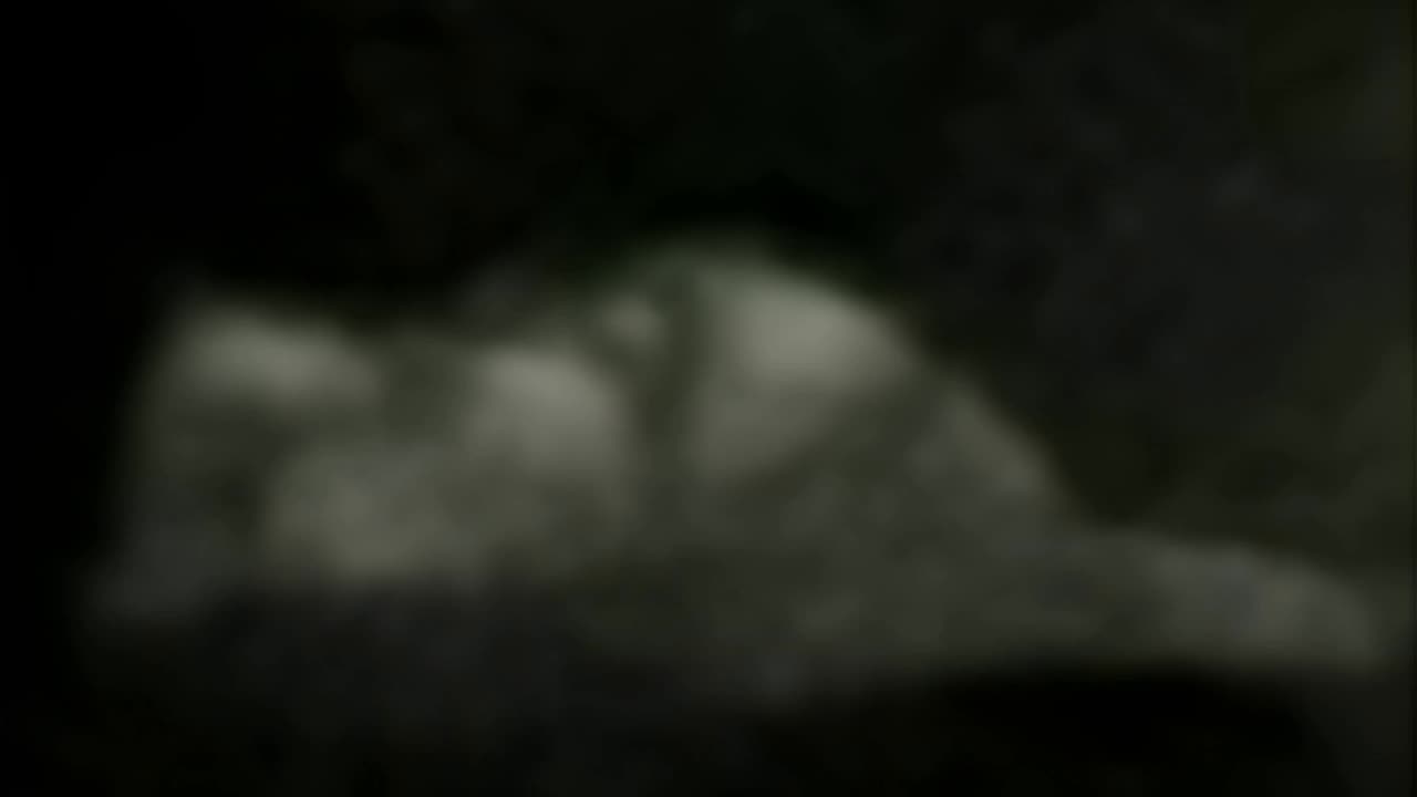 WAV - Downturn Distorted