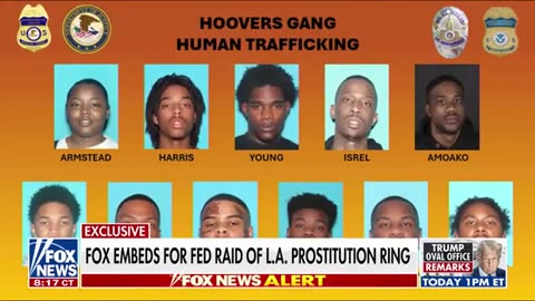 EXCLUSIVE: Jaw-dropping details revealed in major sex-trafficking bust