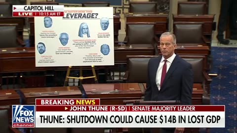 The Democrats Call The Shutdown Leverage