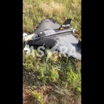 Gerbera drone after crash (July 2024)