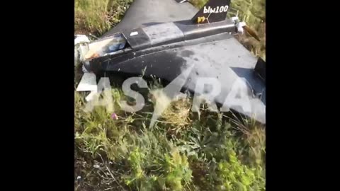 Gerbera drone after crash (July 2024)
