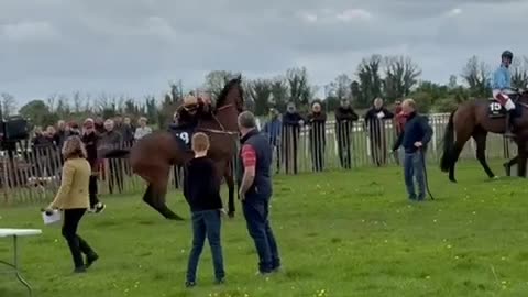 Racehorse Spins Jockey Around