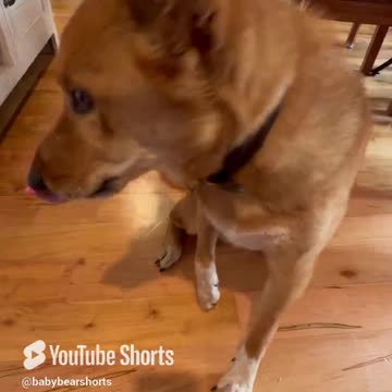 Why is he unhealthy?