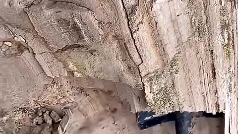 What They Found Underground Shocked the Entire World
