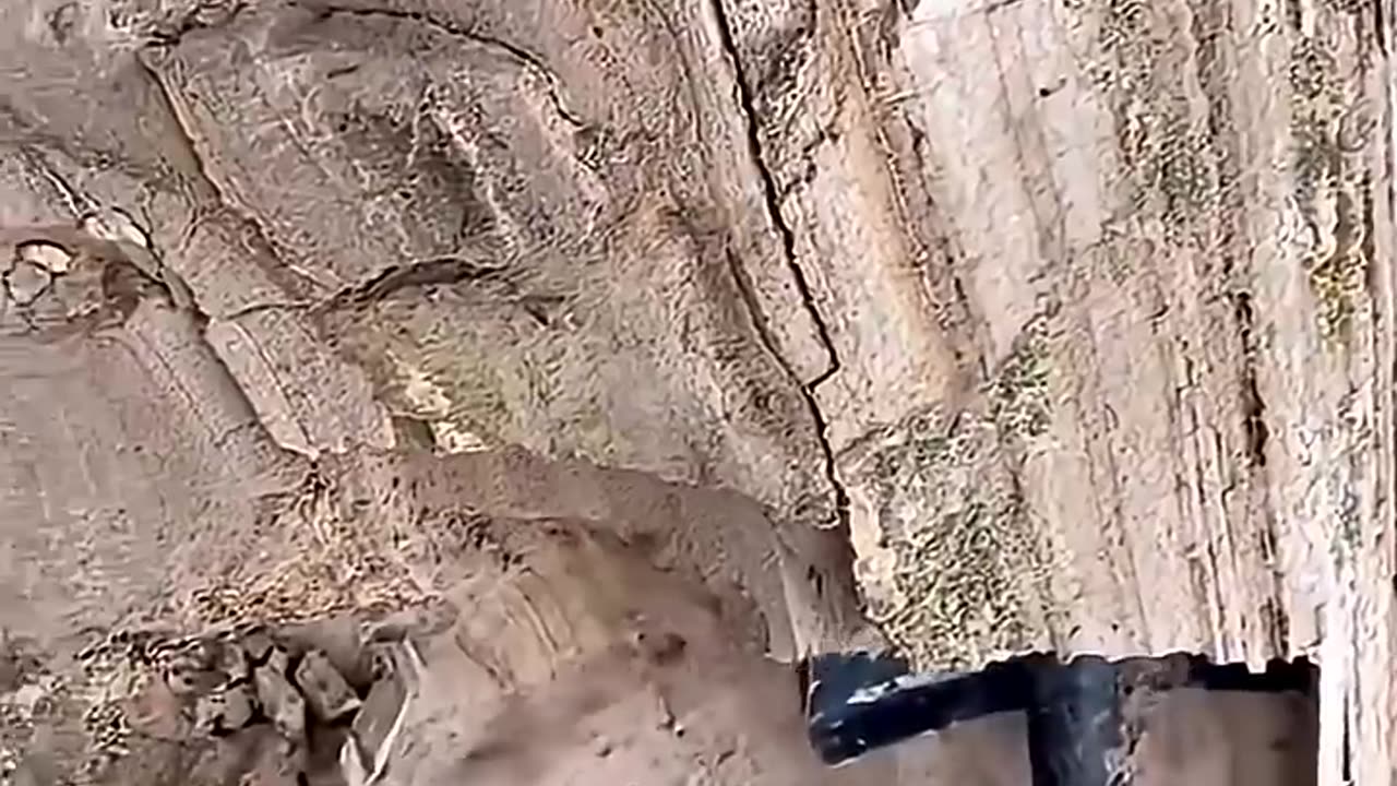 What They Found Underground Shocked the Entire World