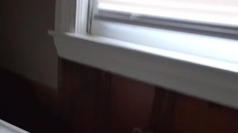 Abandoned Property Surprise — WHAT Is This?!