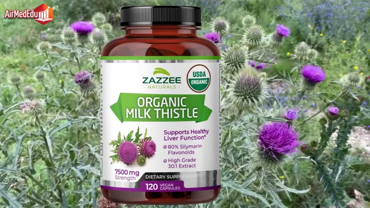Milk Thistle Silymarin A Natural Ally for Health in Adulthood