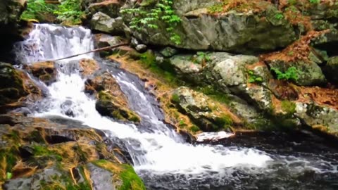 Roaring Falls