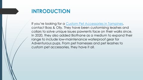 Best Custom Pet Accessories in Tampines