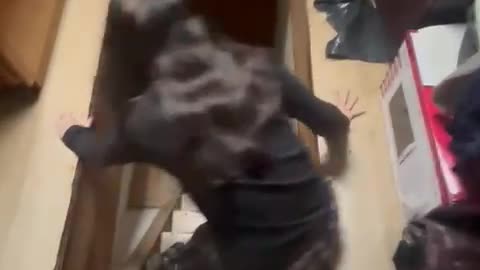 Drunk Sliding Down The Stairs