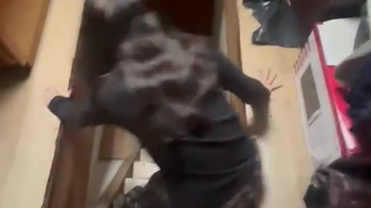 Drunk Sliding Down The Stairs