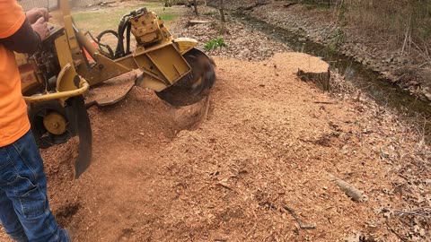 Stump Grinding Huge Stumps in Huntsville
