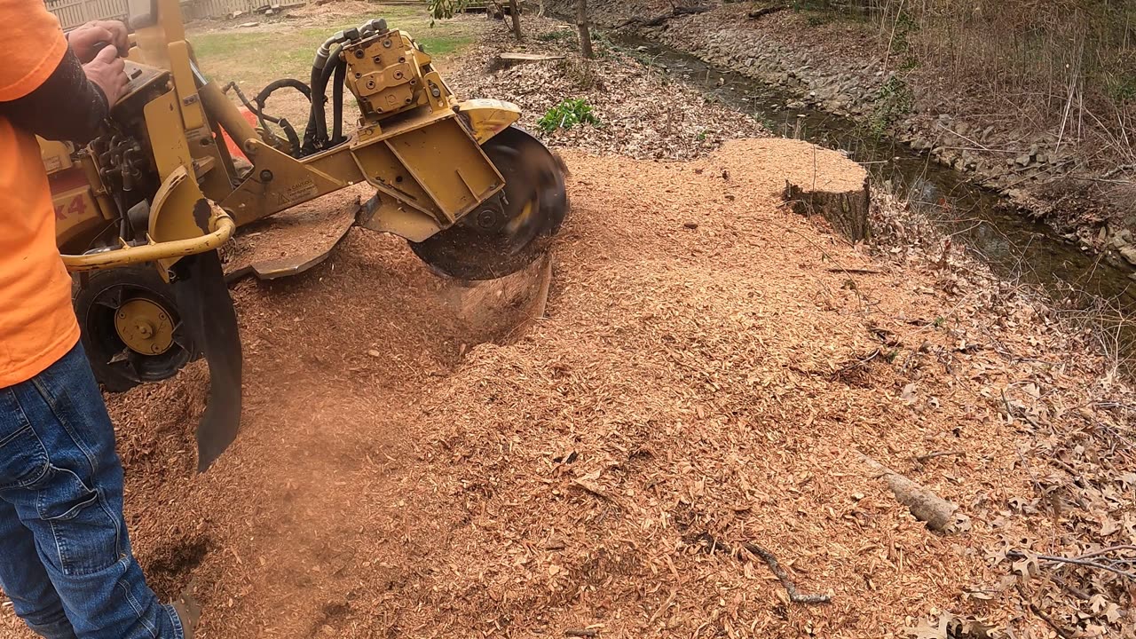 Stump Grinding Huge Stumps in Huntsville