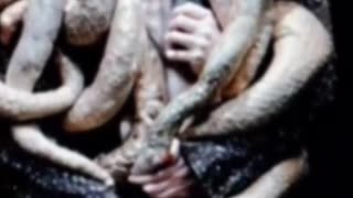 Scary moments: HYBRIDS SHAPESHIFTERS Pt 4