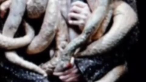 Scary moments: HYBRIDS SHAPESHIFTERS Pt 4