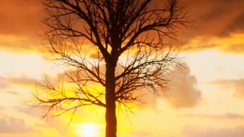 Having the right people around you is one of the keys to Success