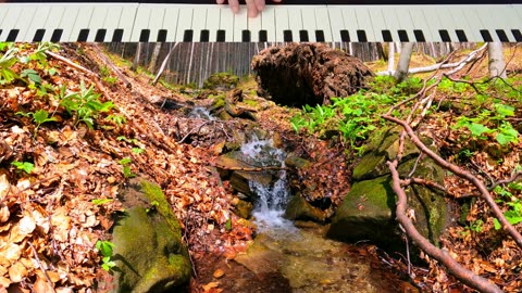 Streams of hope