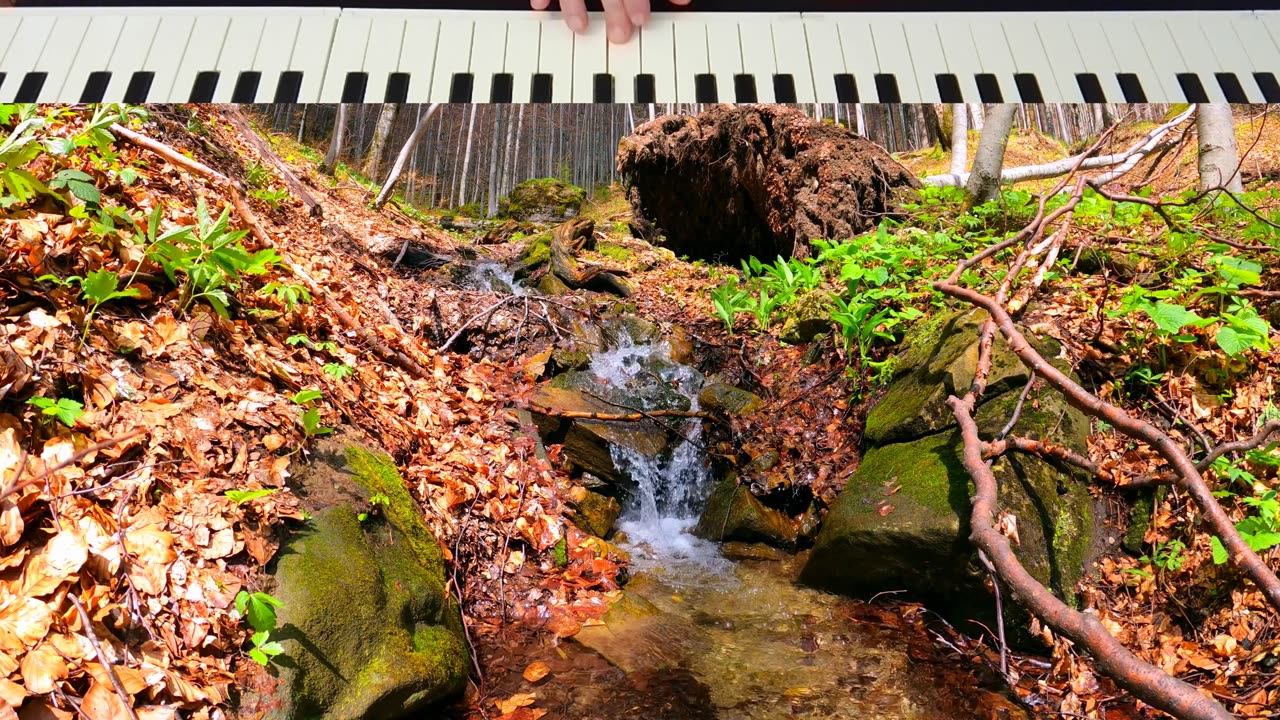 Streams of hope