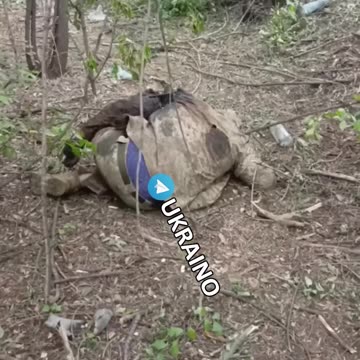 Russian fighters stormed Ukrainian positions. No prisoners