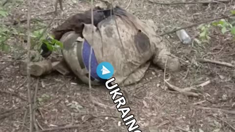 Russian fighters stormed Ukrainian positions. No prisoners