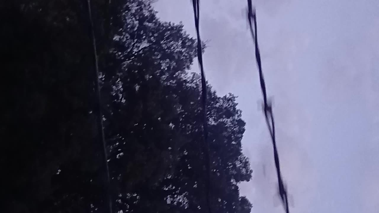 Barbed wire and feeence post Melted by passion