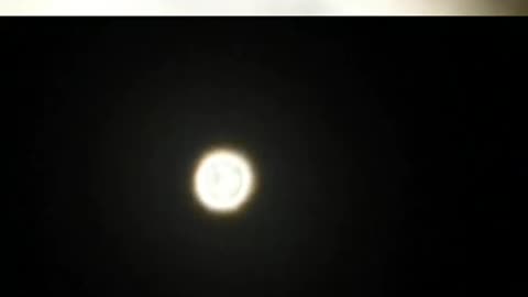 Venus (The Star) - 29.01.2025