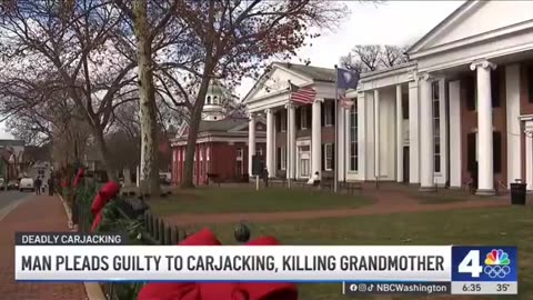 Dem imported Illegal Alien pleads guilty to carjacking and then murdering a Virginia grandmother.