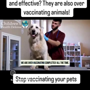 NO VACCINE IS SAFE, STOP VACCINATING YOUR PETS...