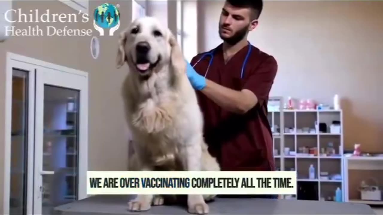 NO VACCINE IS SAFE, STOP VACCINATING YOUR PETS...