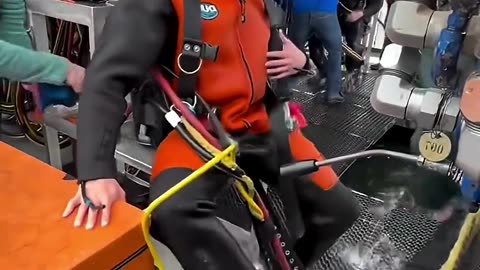 😮⏱️ You Won't Believe How Fast a Diver Undresses After a Deep Dive! | FeedMyCuriosity