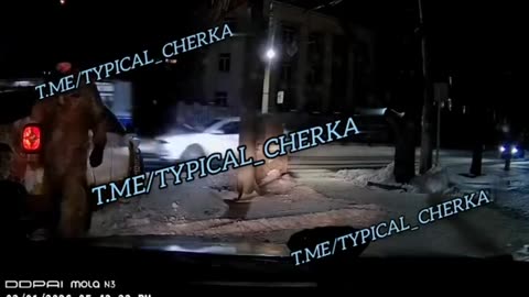 Draft Forces in Cherkasy Ram Civilian Car, Then Mobilize Driver and Passenger