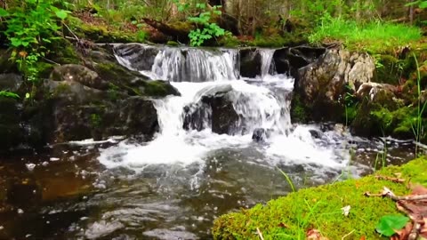 Cascade