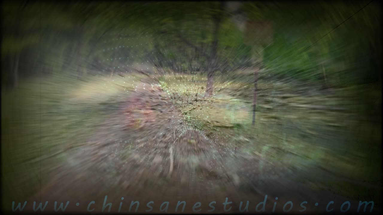 Sweatshop Cathedral - by Forrest Day