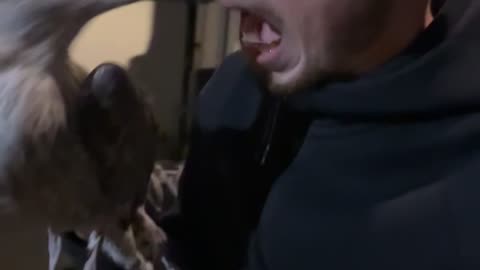 Be careful of seagull’s there dangerous